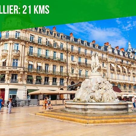 Le Palais Maya - Lumineux - Wifi La Grande Motte Exteriör bild