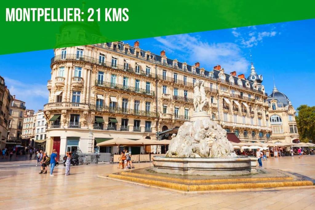 Le Palais Maya - Lumineux - Wifi La Grande Motte Exteriör bild